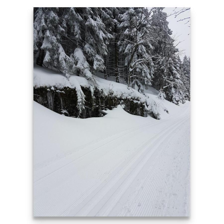 Appartamento Harz Zeit Altenau  Esterno foto