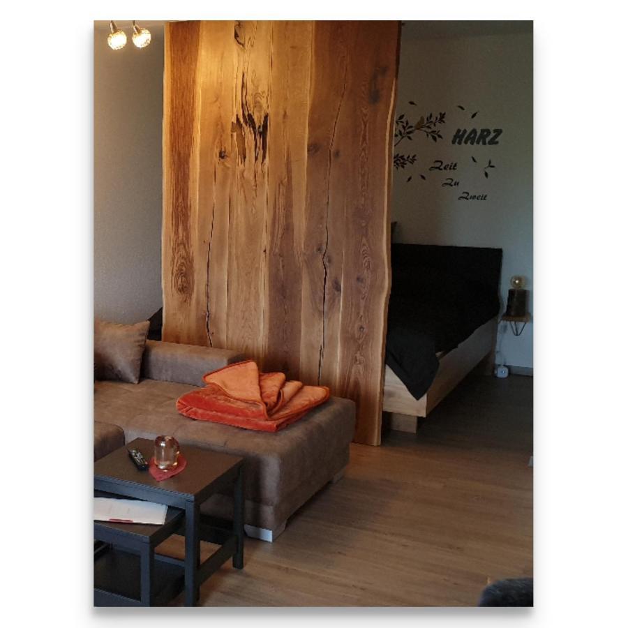 Appartamento Harz Zeit Altenau  Esterno foto