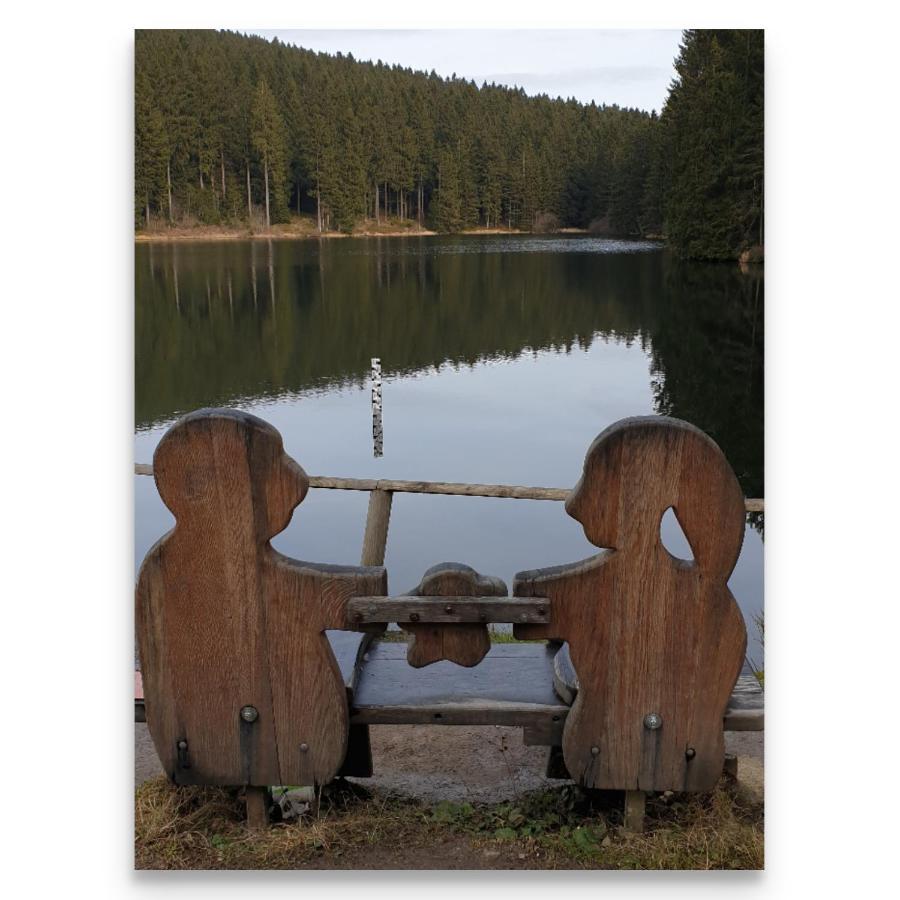 Appartamento Harz Zeit Altenau  Esterno foto
